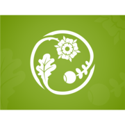 straupe.lv favicon