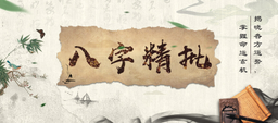 卜算子算命网 logo