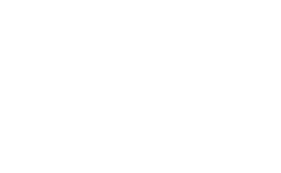 Autohaus Schöllhuber GmbH logo