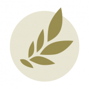 abookapart.com favicon
