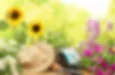 AGRO CS a.s. logo