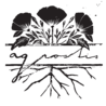 Agrostis Trávníky s.r.o. logo