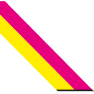 albaneseonline.ch favicon