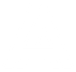 Altera sp. z o.o. logo