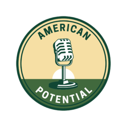 americanpotential.com favicon
