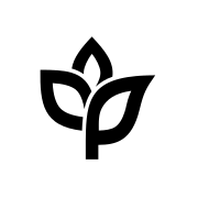 ankorstore.com favicon