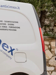 Anticimex logo
