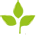 apresort.sk favicon