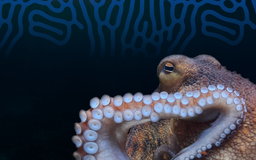 Aquazoo Löbbecke Museum logo