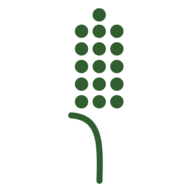 asz.cz favicon
