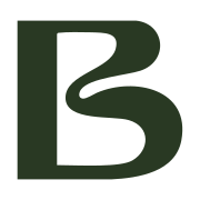 baiersbronn.de favicon