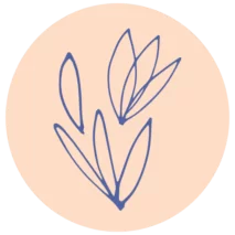 bajecnyweb.cz favicon