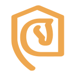 barnmanagement.cz favicon