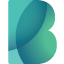 bigbank.eu favicon