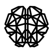 bigbrain.holdings favicon