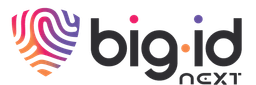 BigID logo