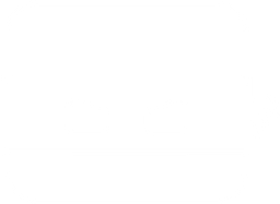 BitNinja Security logo