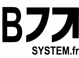 BJJ System logo