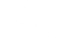 Blue Banana Travel logo