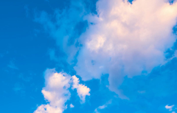 Bluesky logo