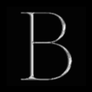 blurrbureau.com favicon