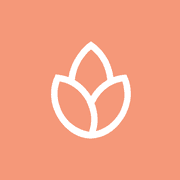 bonfire.com favicon