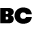 bonne-choice.com favicon