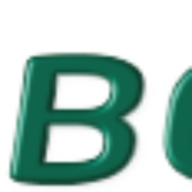 borini.com favicon