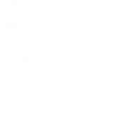 bowlingroom.com favicon