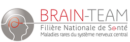 BRAIN-TEAM logo