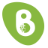 braindigit.com favicon