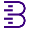 brandmetrics.com favicon