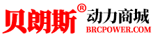 广州贝朗斯动力电源有限公司 logo