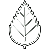 brezovylistek.cz favicon