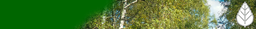 GN-Galénův nadační fond logo