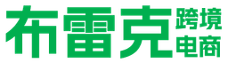 bricsgo.com logo