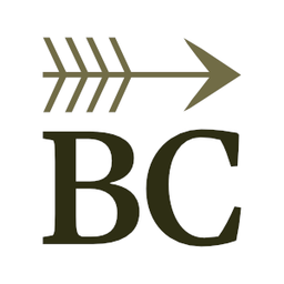 brilliantcrank.com favicon