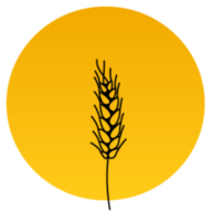 brindepaille.org favicon