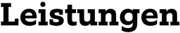 bringe Informationstechnik GmbH logo