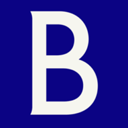 brunswickgroup.com favicon