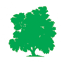 bunc.cz favicon