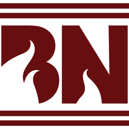 burnsnotice.com favicon