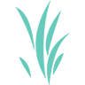 cala-spa.de favicon