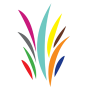 calamus-areal.com favicon