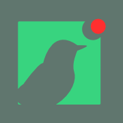 canary.tools favicon
