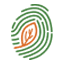 carbonfootprintfoundation.com favicon