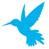 caymland.app favicon