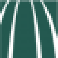cgfns.org favicon