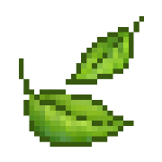 chester.how favicon