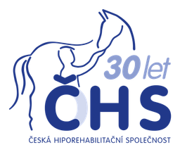 chs-cr.com favicon